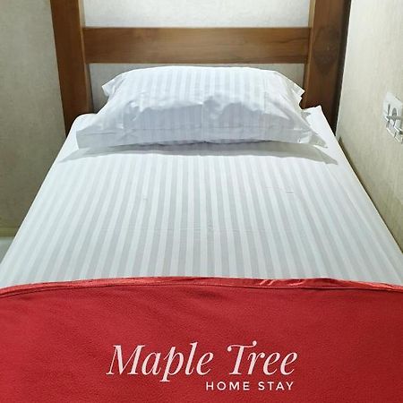 Maple Tree Homestay Maguwo Exterior foto