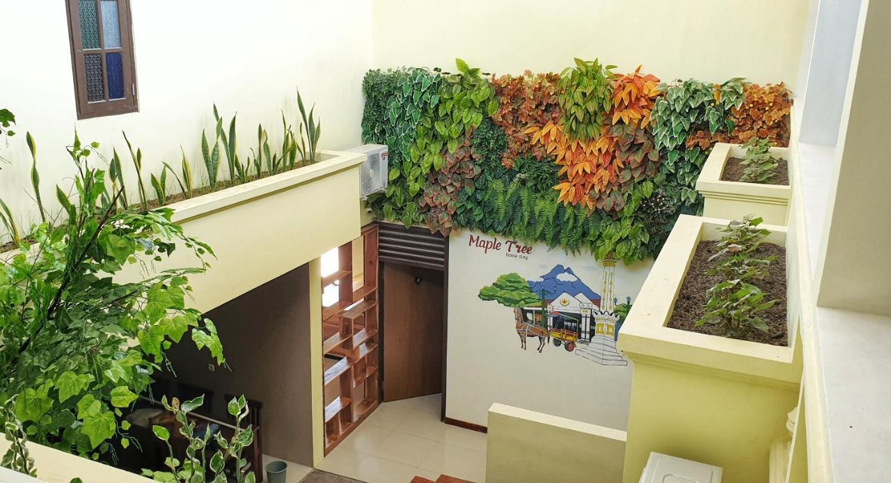 Maple Tree Homestay Maguwo Exterior foto