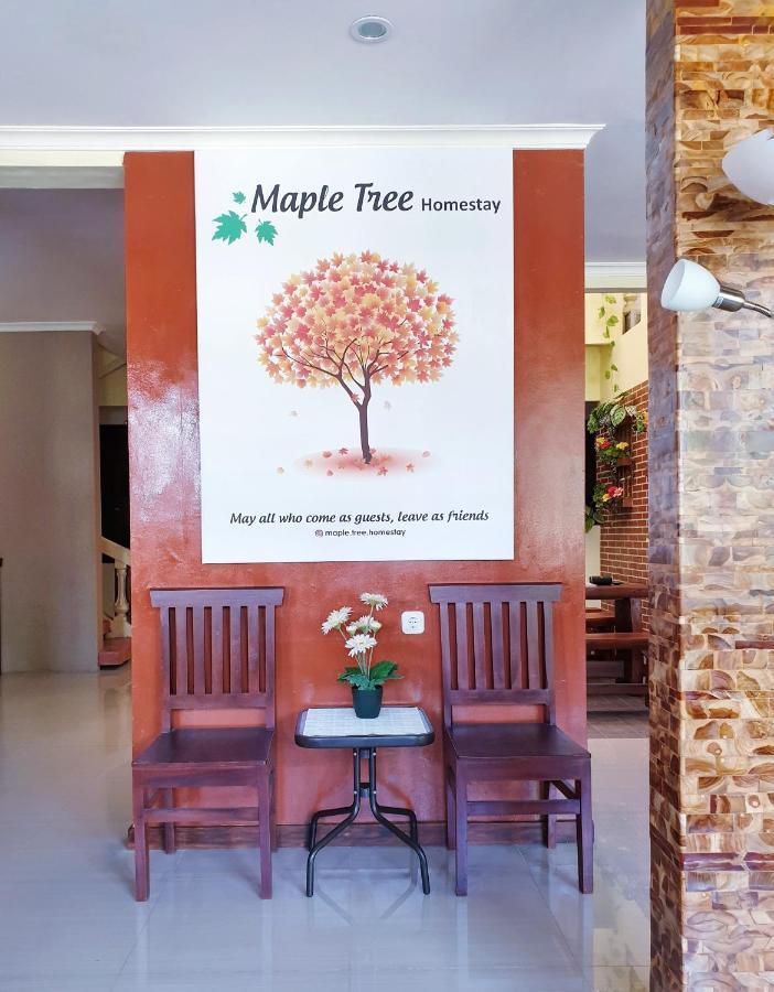 Maple Tree Homestay Maguwo Exterior foto